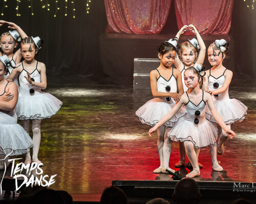 Danse Classique